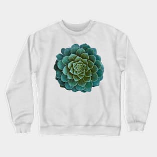 Succulent plant Crewneck Sweatshirt